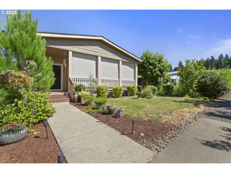 Front Yard