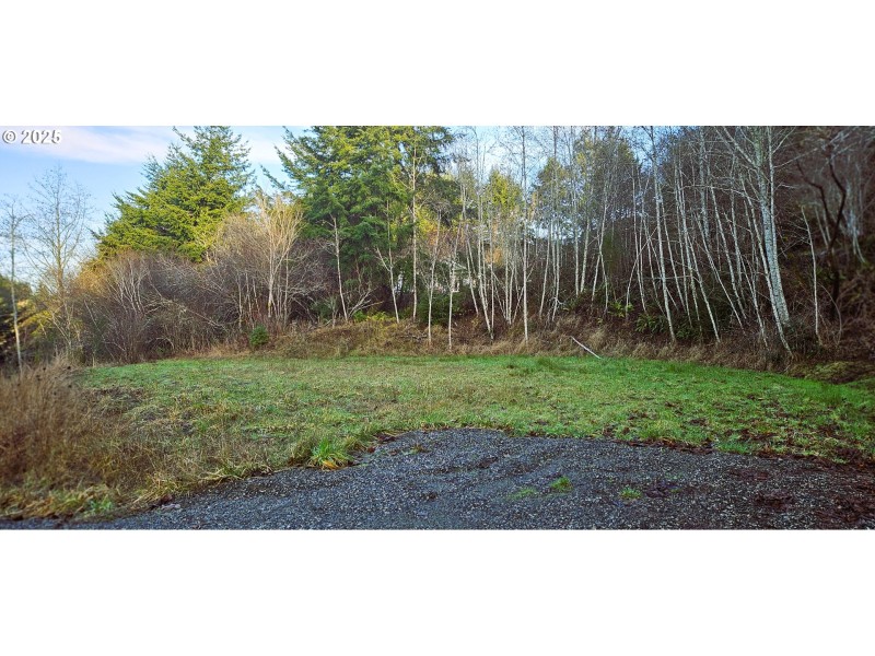 Buildable Area