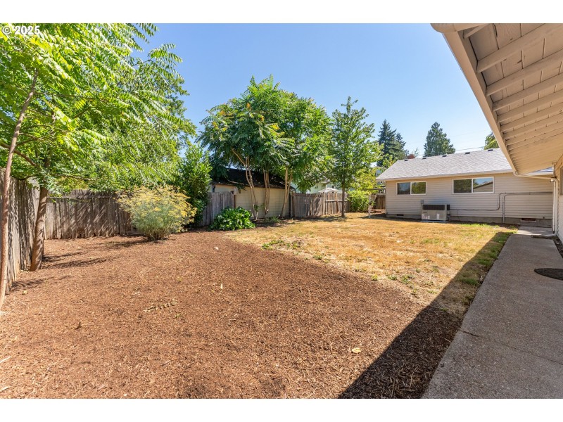 Yard