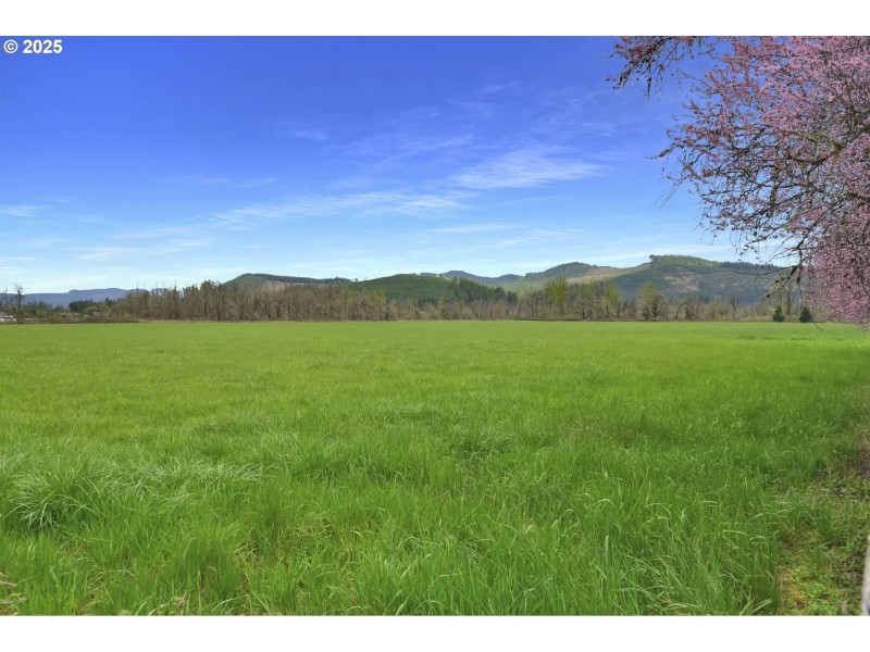 Pasture
