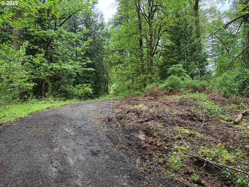 Home Site