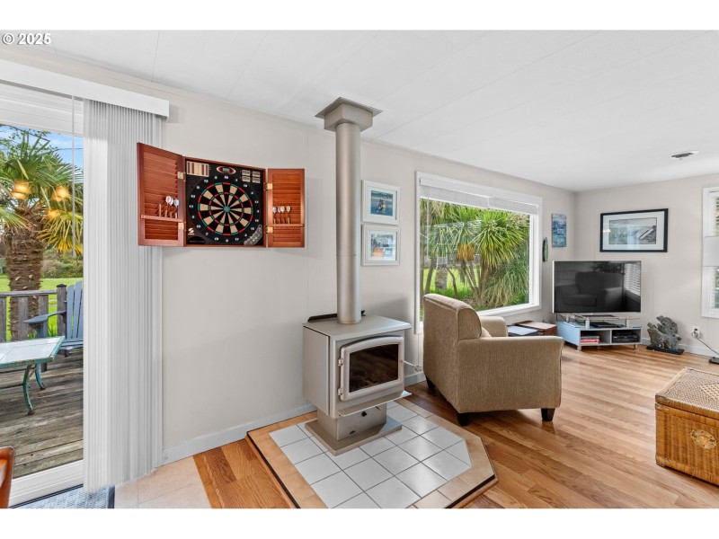 Fireplace Wood Burning Stove/Insert
