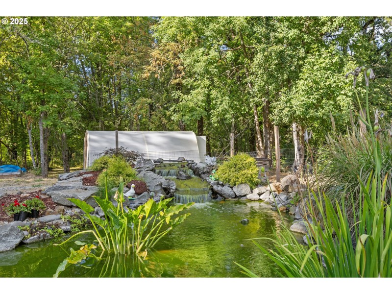 Water Feature