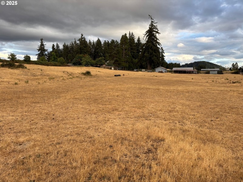 Pasture