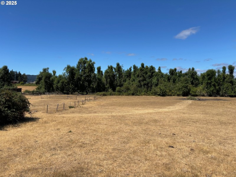 Pasture