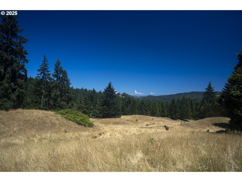 Pasture