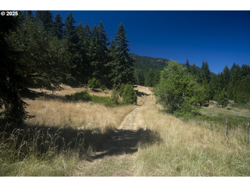 Pasture