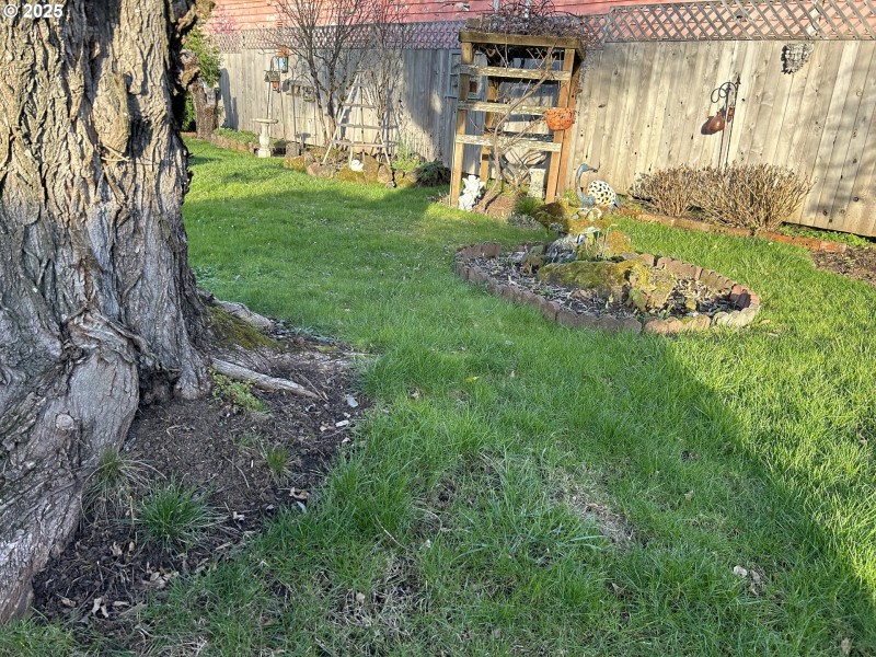 Yard