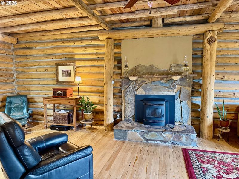 Fireplace Pellet Stove