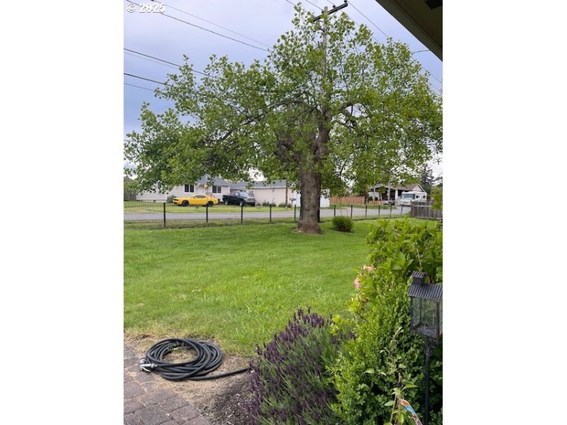 Front Yard
