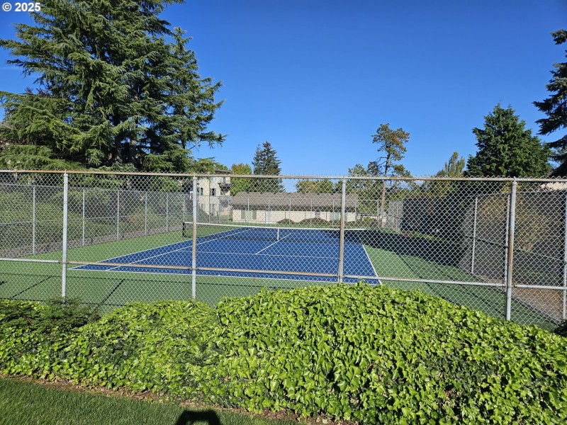 Community Tennis