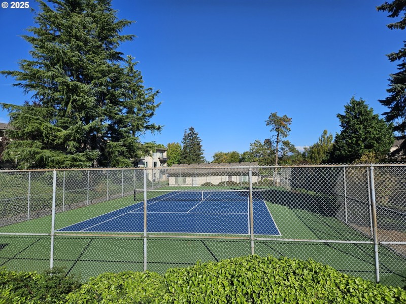 Community Tennis