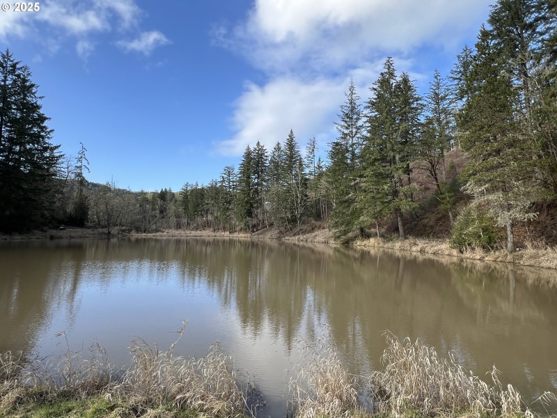 Pond