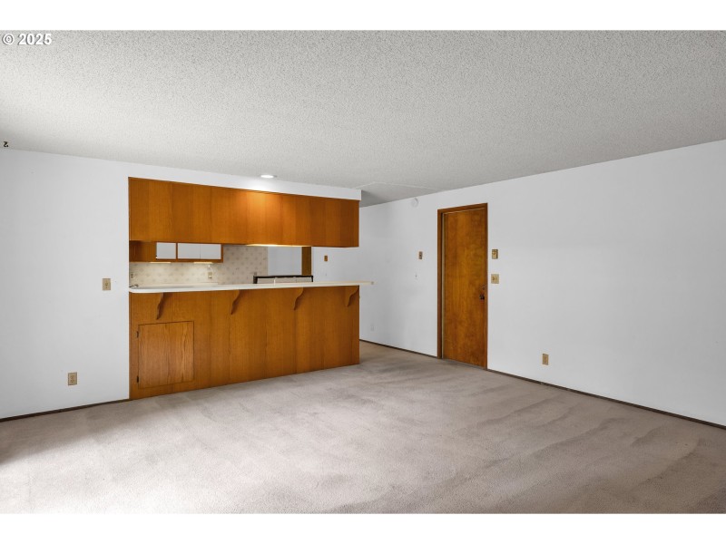 Kitchen/Family Room