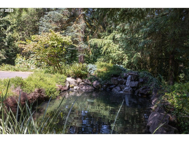 Pond