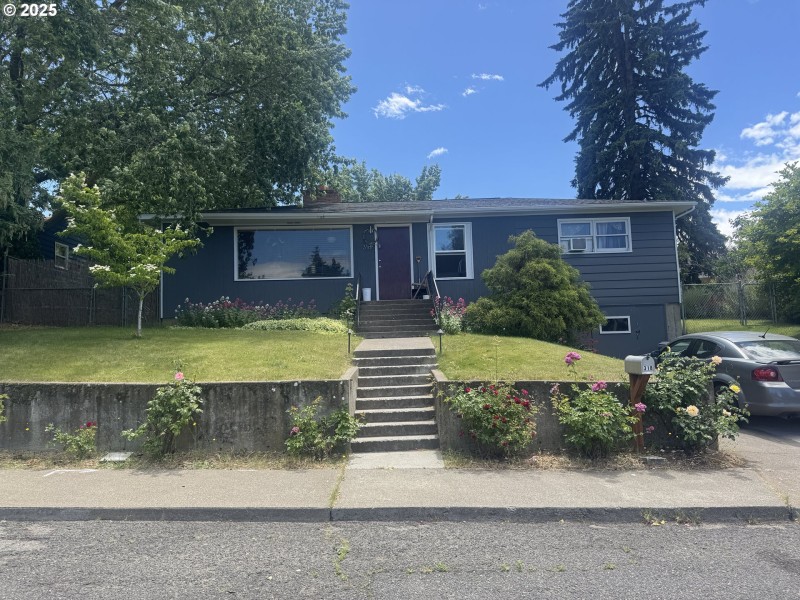 Front Yard