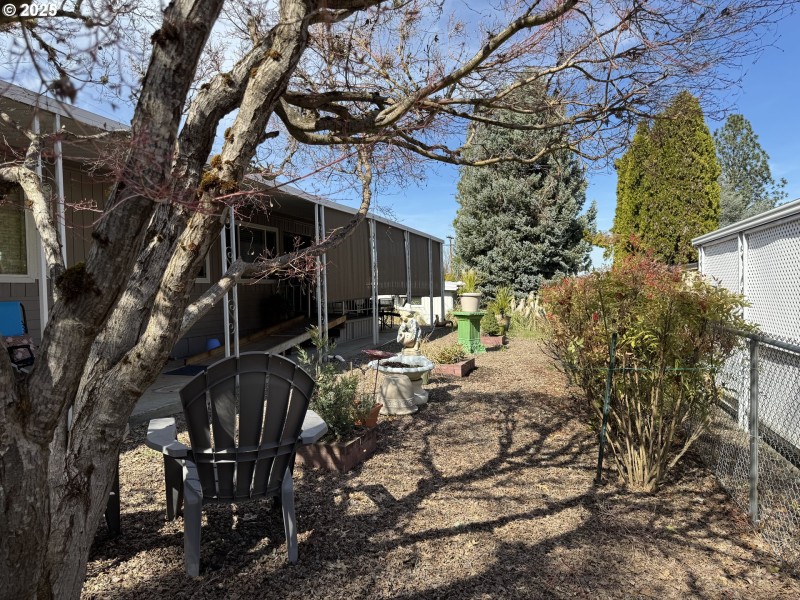 Front Yard