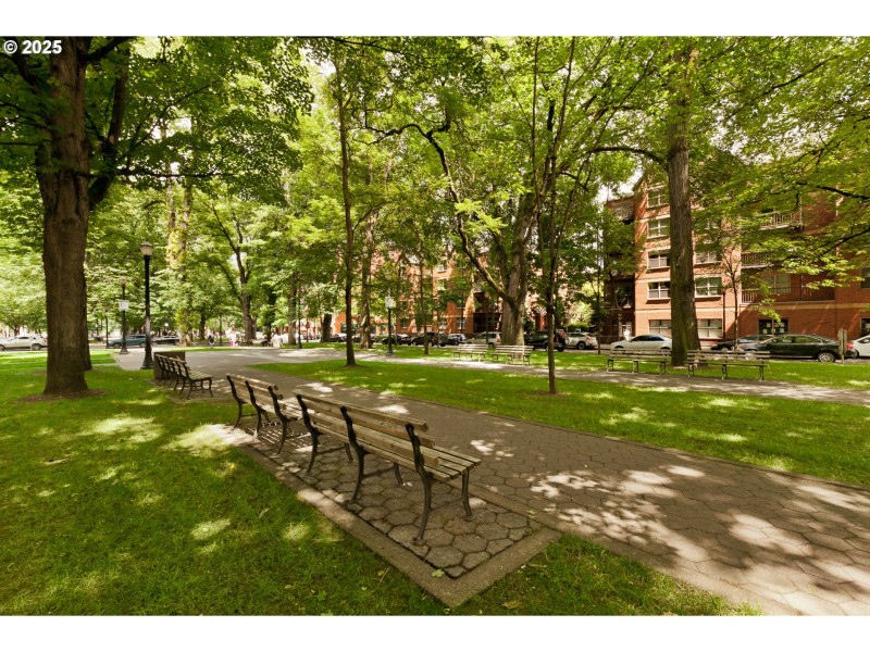 Community Park