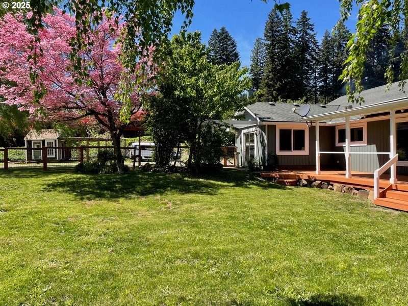 Yard