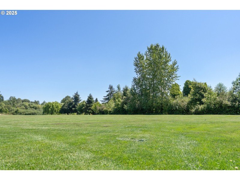 Community Park
