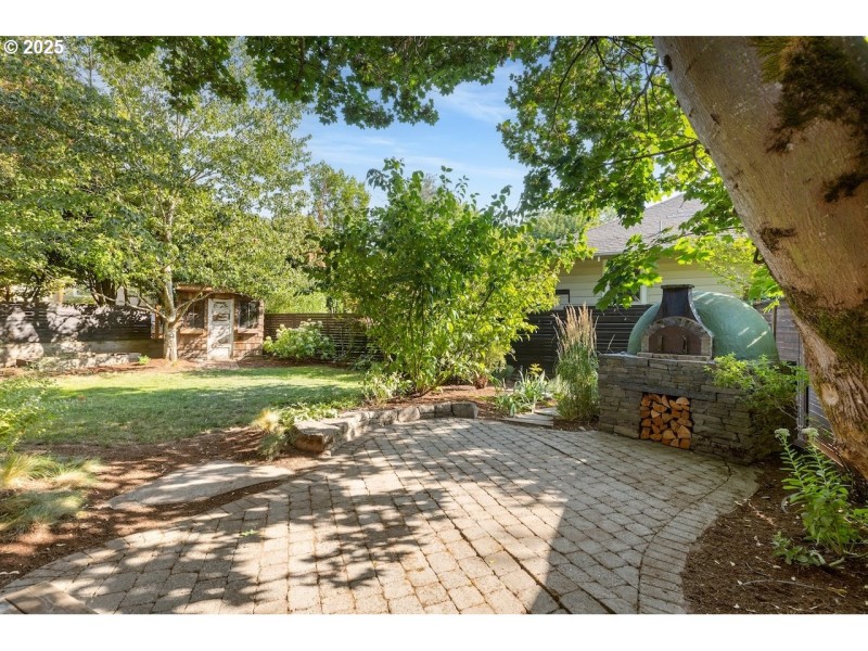 Backyard