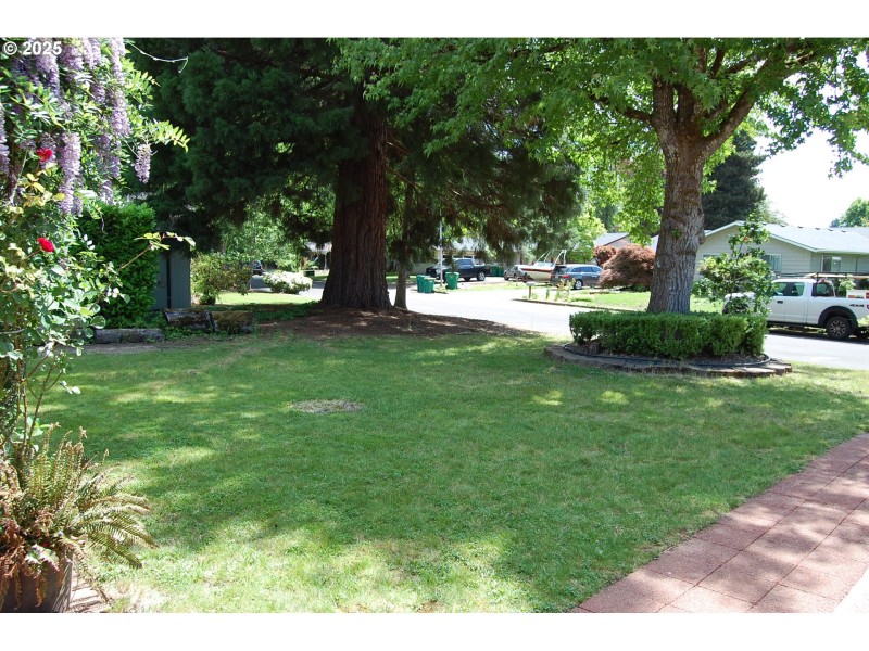 Yard