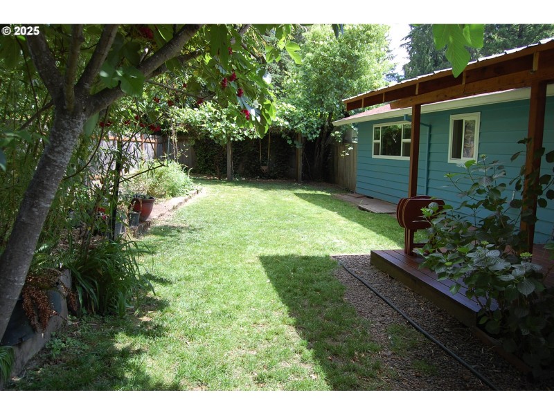 Yard