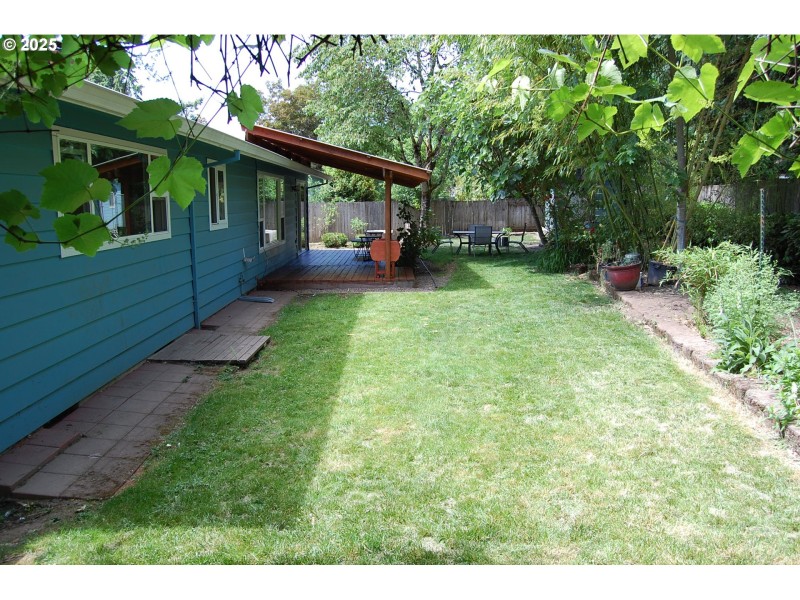 Yard