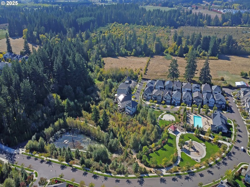 Community Basketball