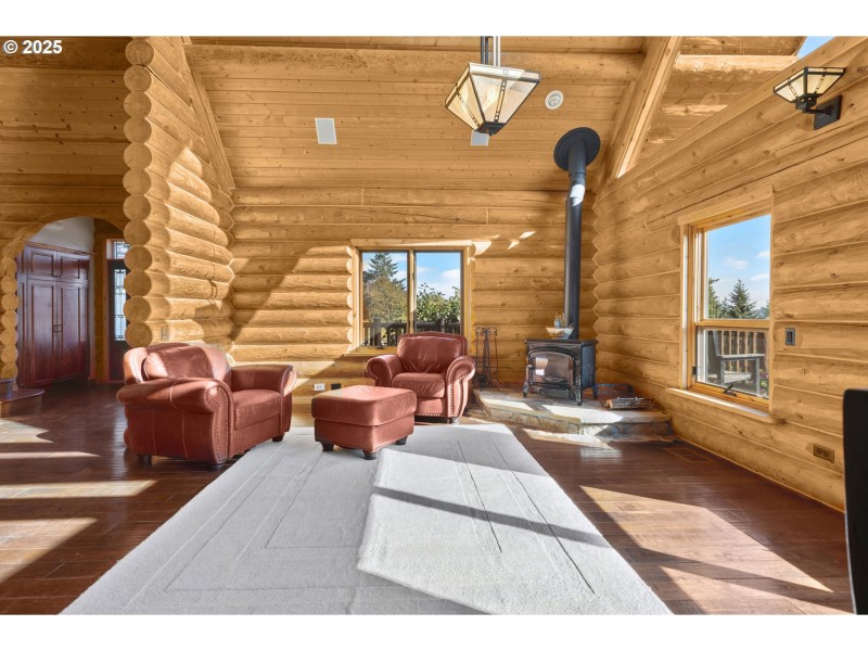 Fireplace Insert