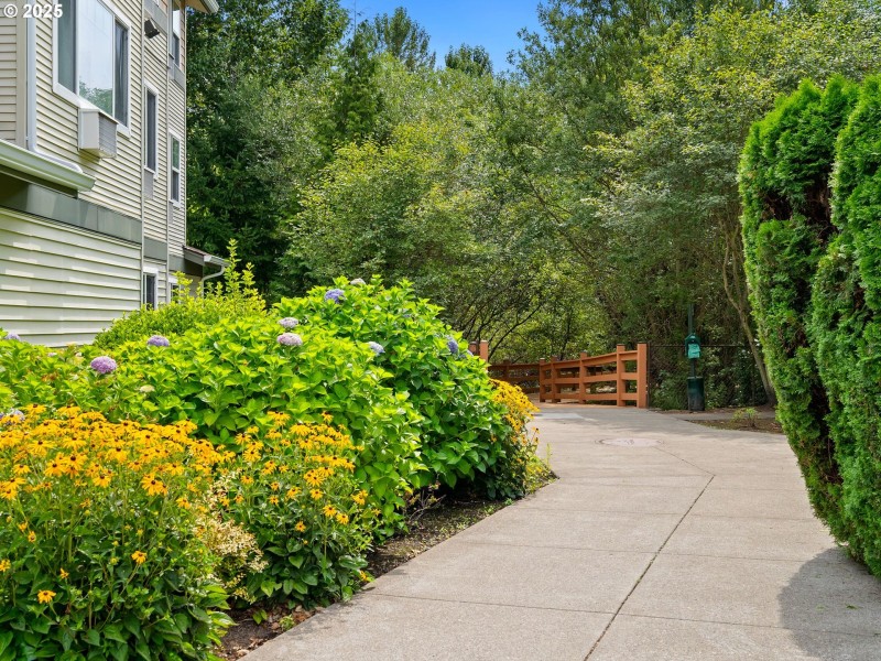 Community Amenities
