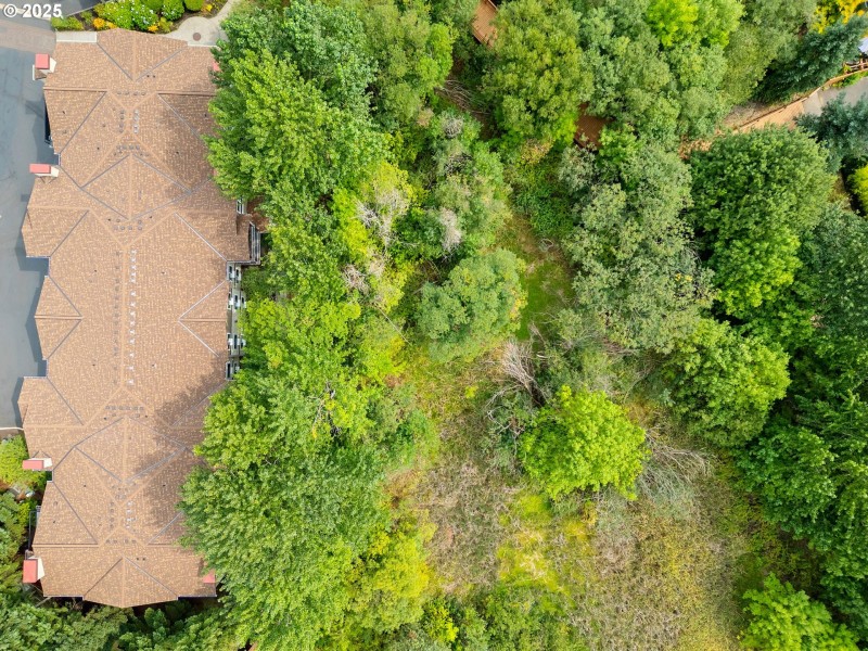 Drone View/UAV
