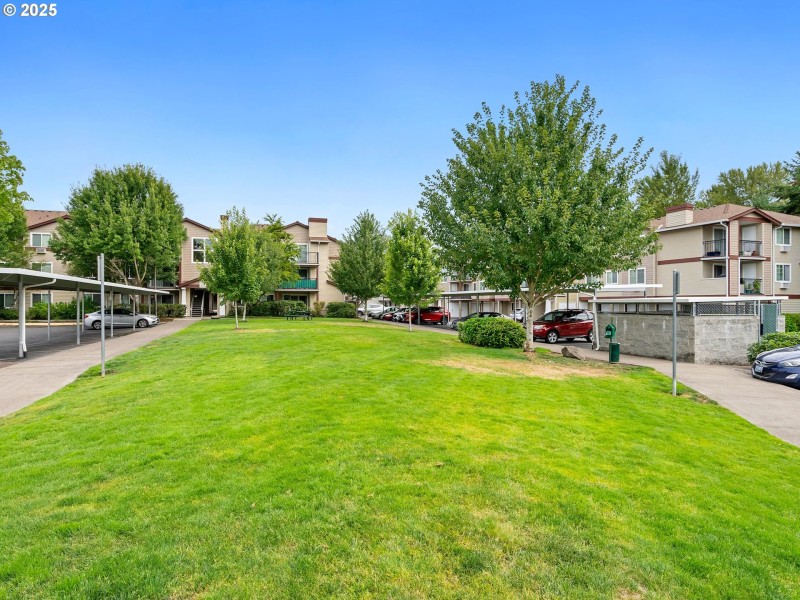 Community Amenities