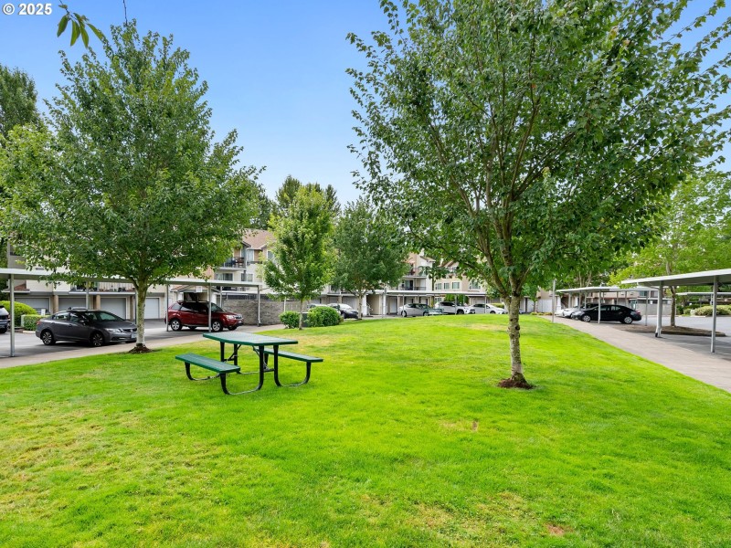 Community Amenities