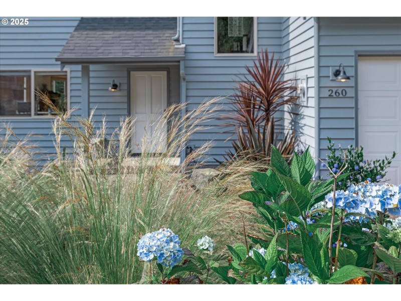 Front Yard