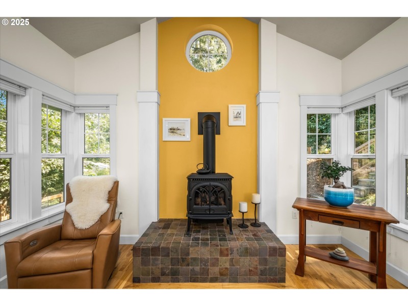 Fireplace Gas Burning Stove/Insert