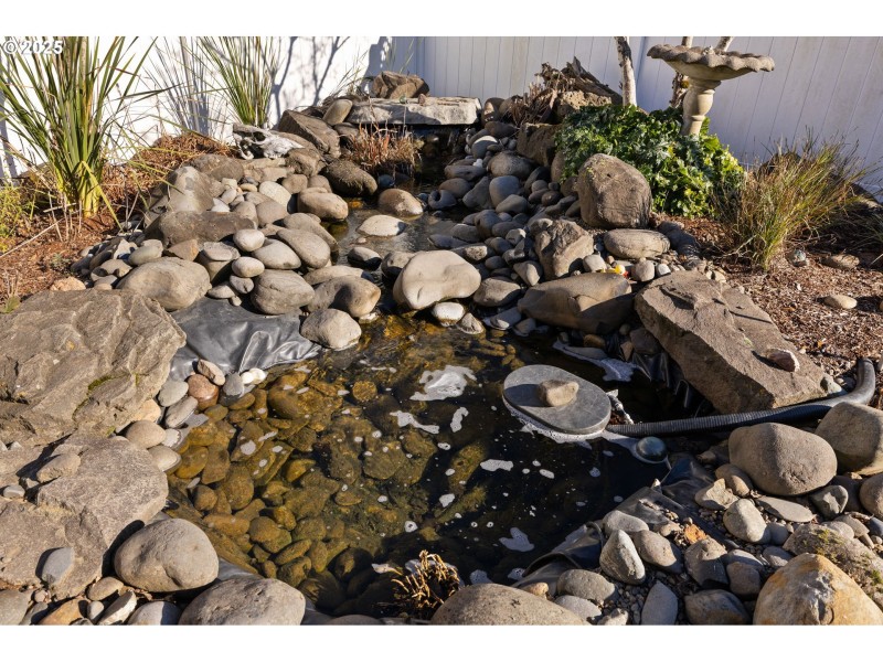 Water Feature