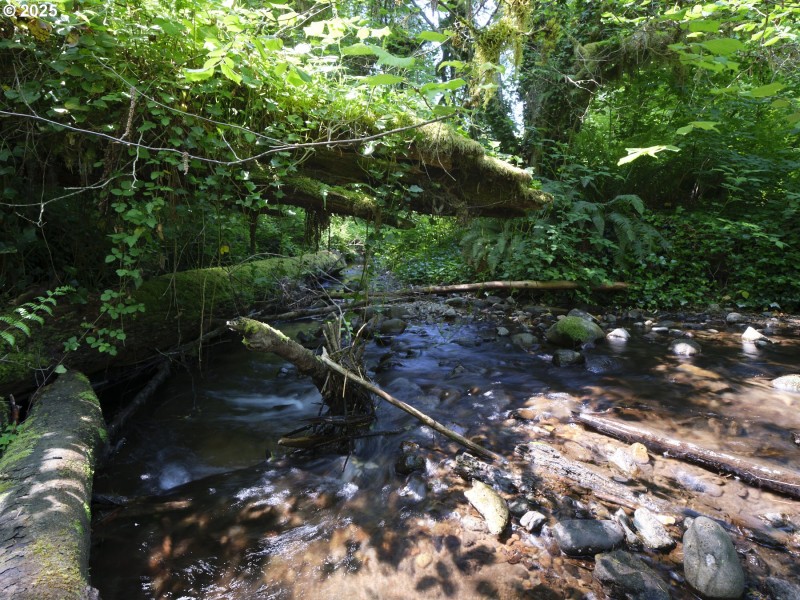 Creek
