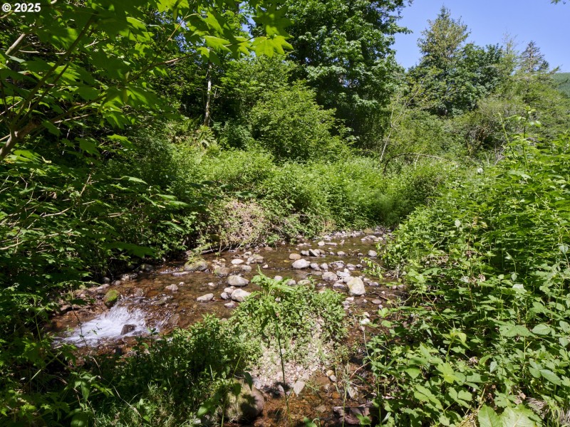 Creek