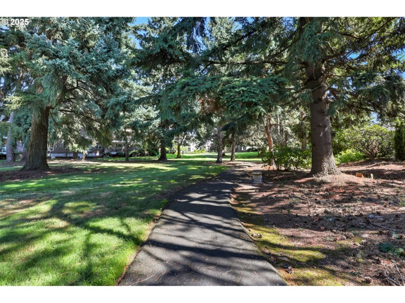 Green Space