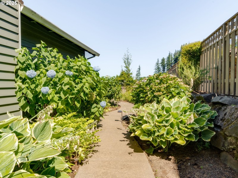 Yard