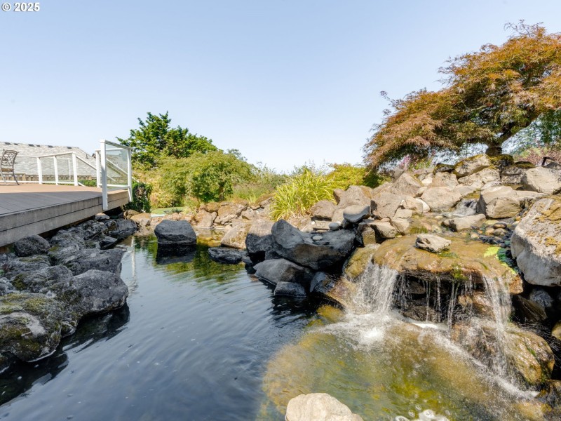 Pond
