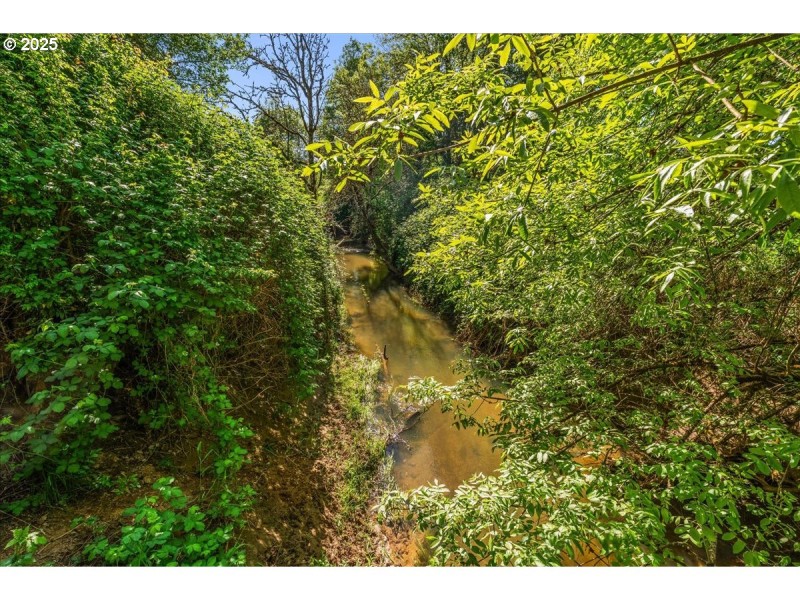 Creek