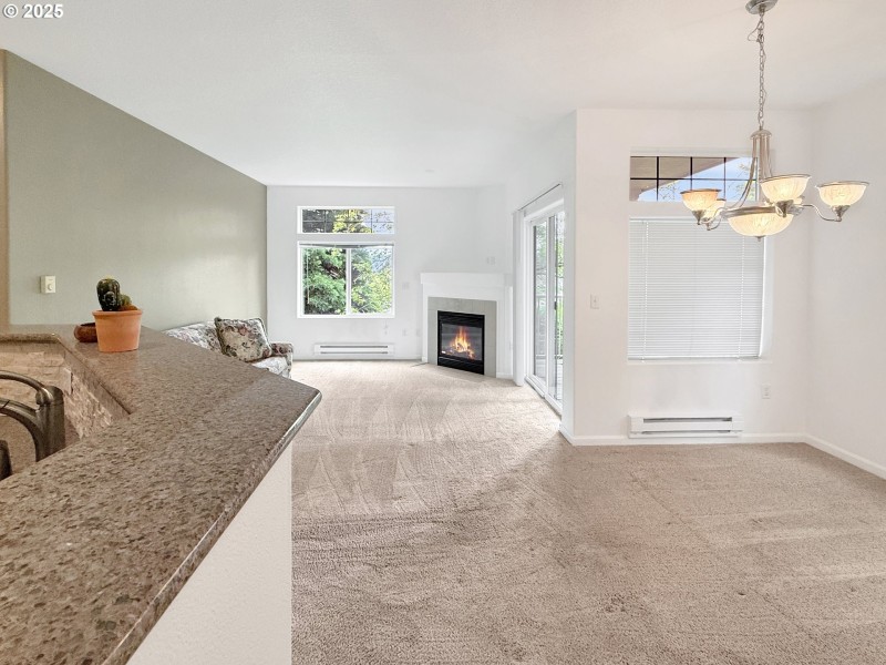Living Room/Dining Room