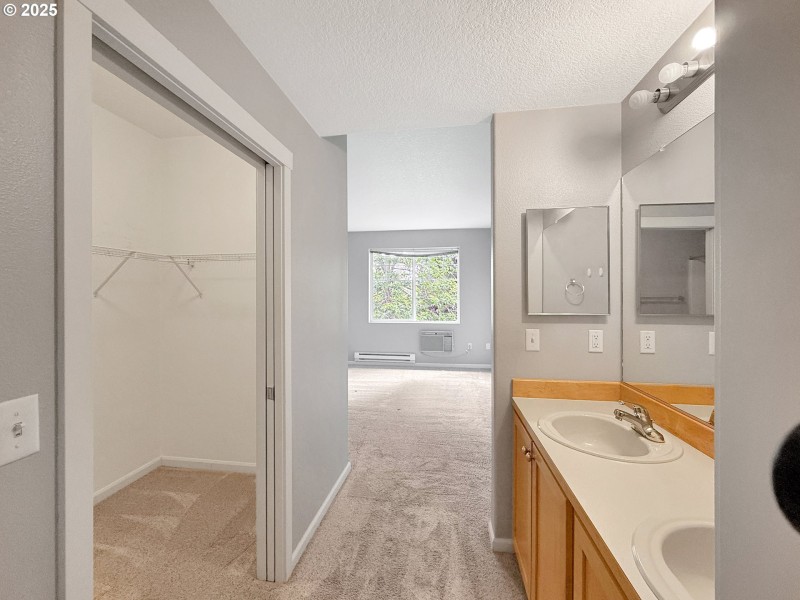 Owner's Suite Bathroom
