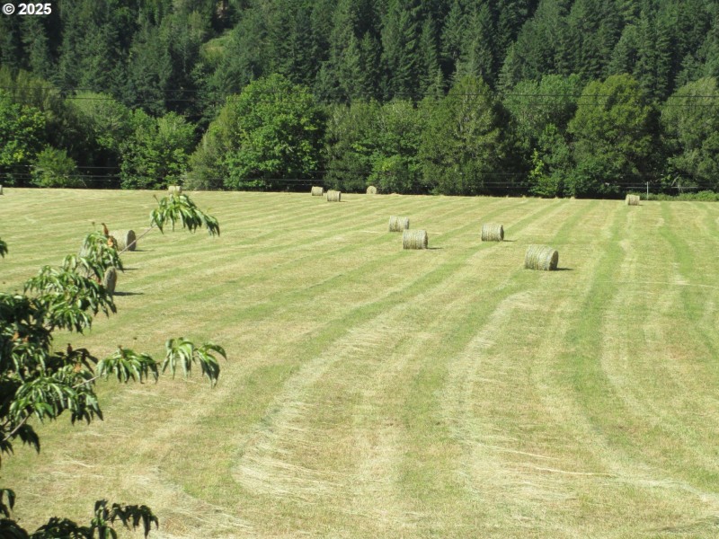 Pasture