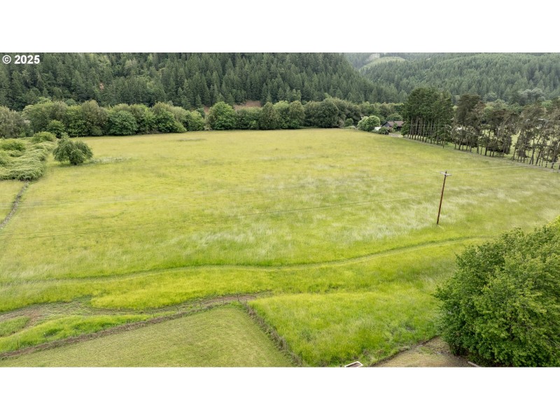 Pasture