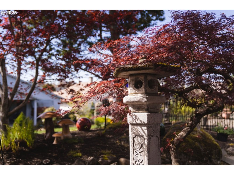 Front Yard