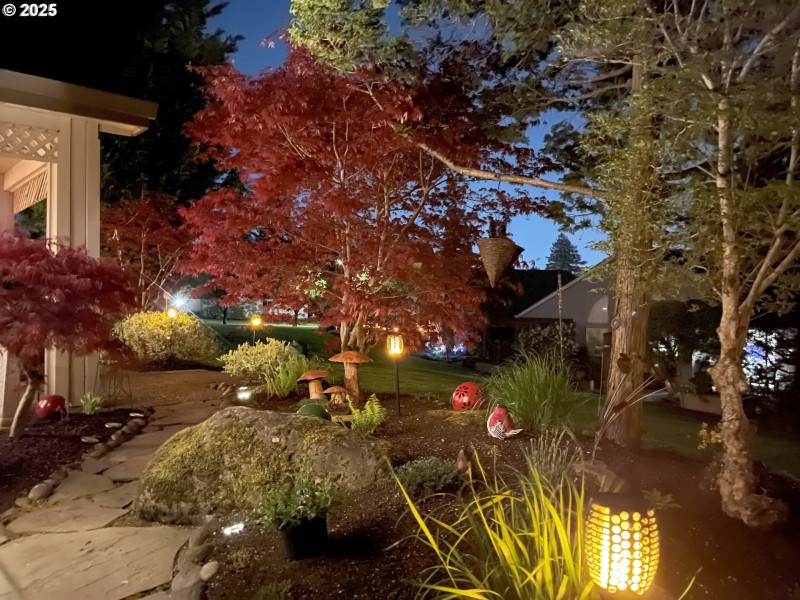 Backyard