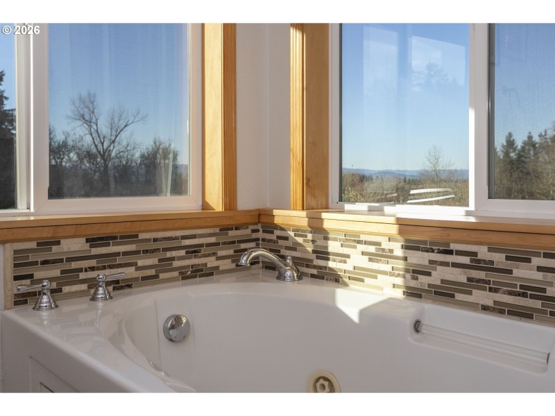 Owner's Suite Bathroom